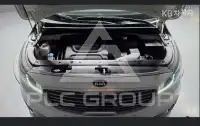 2017 KIA Carnival