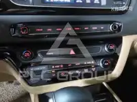 2017 KIA Carnival