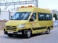 2019 Hyundai Solati