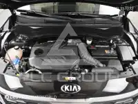2019 KIA Celltos