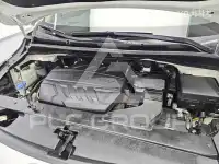 2019 KIA Carnival
