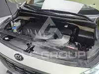 2019 KIA Carnival