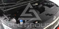 2019 KIA Carnival