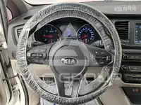 2019 KIA Carnival