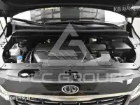 2019 KIA Carnival