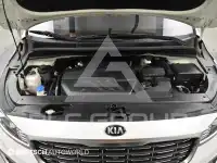 2019 KIA Carnival