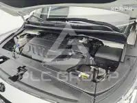 2019 KIA Carnival