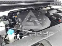 2019 KIA Carnival