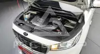 2019 KIA Carnival