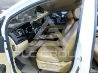 2019 KIA Carnival
