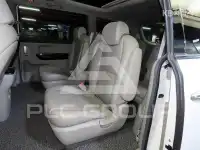 2019 KIA Carnival