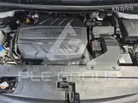 2019 KIA Carnival