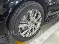 2019 KIA Carnival