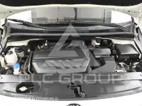 2019 KIA Carnival