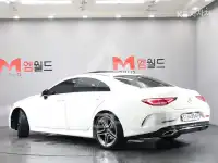 2019 Mercedes Benz CLS-Class
