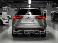 2019 Lexus NX