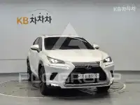 2019 Lexus NX