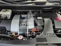 2019 Lexus RX
