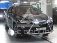 2019 Lexus RX
