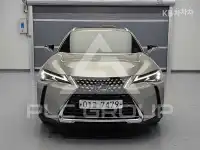2019 Lexus UX