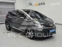 2020 GM Daewoo 쉐보레 볼트
