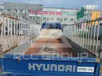 2020 Hyundai Mighty