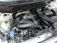 2020 KIA Celltos