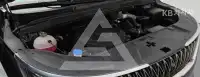2020 KIA Carnival