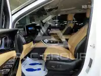 2020 KIA Carnival