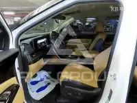 2020 KIA Carnival