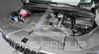 2020 KIA Carnival