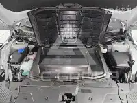 2021 Hyundai Ioniq