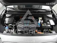 2021 KIA Niro