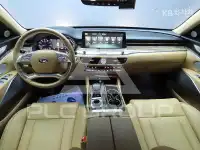 2021 KIA K9