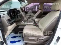 2021 KIA Carnival