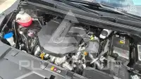 2021 KIA Carnival