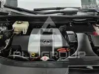 2021 Lexus RX