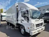 2022 Hyundai Mighty