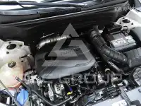 2022 KIA Celltos