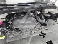 2022 KIA Carnival