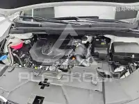 2022 KIA Carnival
