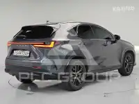 2022 Lexus NX