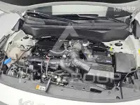 2023 KIA Celltos