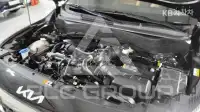 2023 KIA Celltos