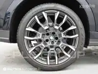 2024 BMW X6