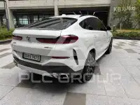2024 BMW X6