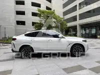 2024 BMW X6