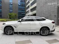 2024 BMW X6