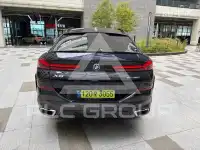 2024 BMW X6