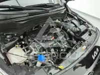 2024 KIA Celltos